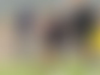 Interview | Wildig in a good place