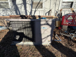 WhatsApp Image 2025-12-29 at 8.35.54 AM