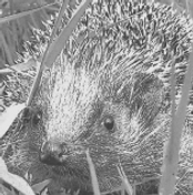 Capture d’écran 2025-09-23 à 15.23.35.png