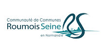 Logo CCRS_edited.jpg