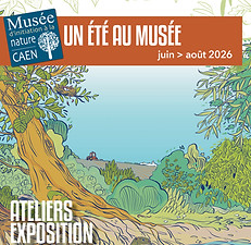 Programme été 26.jpg