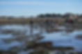 DSC05213.JPG
