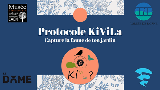 Capture d’écran 2026-06-09 à 16.43.04.png