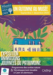 Programme automne 25.jpg