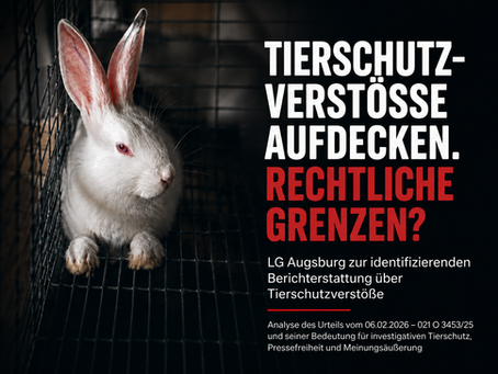 Weißes Kaninchen in einem Käfig