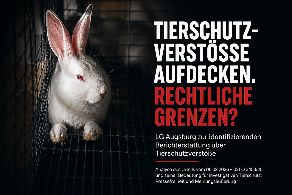Weißes Kaninchen in einem Käfig