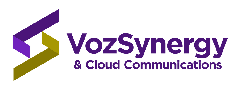 VozSynergyv3.png