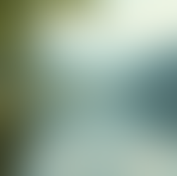 Empathische Fremdbetreuung: Seminare für gesunde Beziehungen