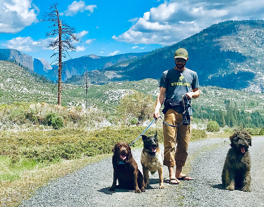 Dog kennels Yosemite K9 Kennels Yosemite National Park