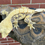 Thumbnail: Female Extreme Harlequin 