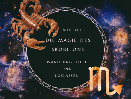 Die Alchemie des Novembers – mit Human Design, Body-Astro und Pflanzen durch die Tiefe