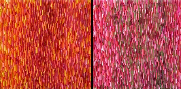 It Blooms Beyond The Blaze