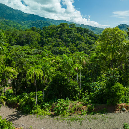 GPW Development property development costa rica custom home builder tierra del ceiba lot 5