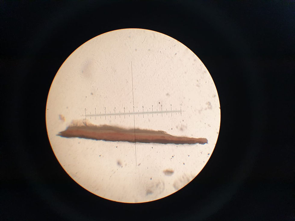 Microscopy cross section analysis.