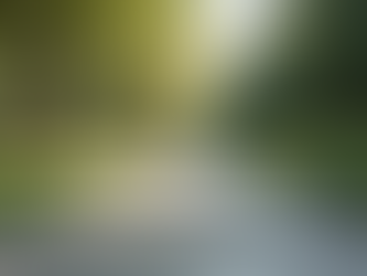 Masonry Works: Elevate Your Property's Curb Appeal