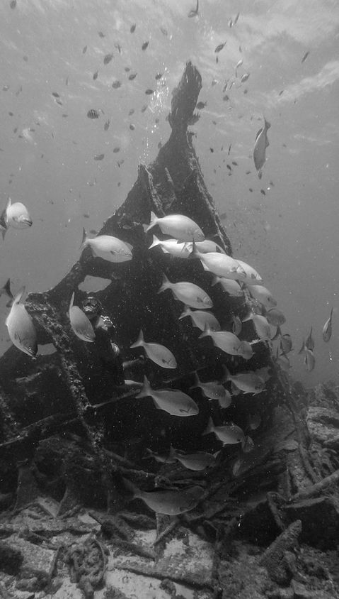 DSC05683-01.jpeg