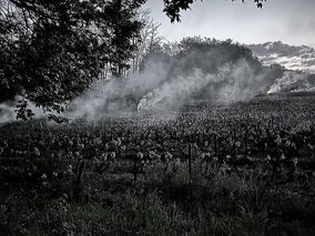 Le clap de fin est donné sur ce millésime 2025 !