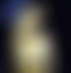 The 2016/2017 Winona Project