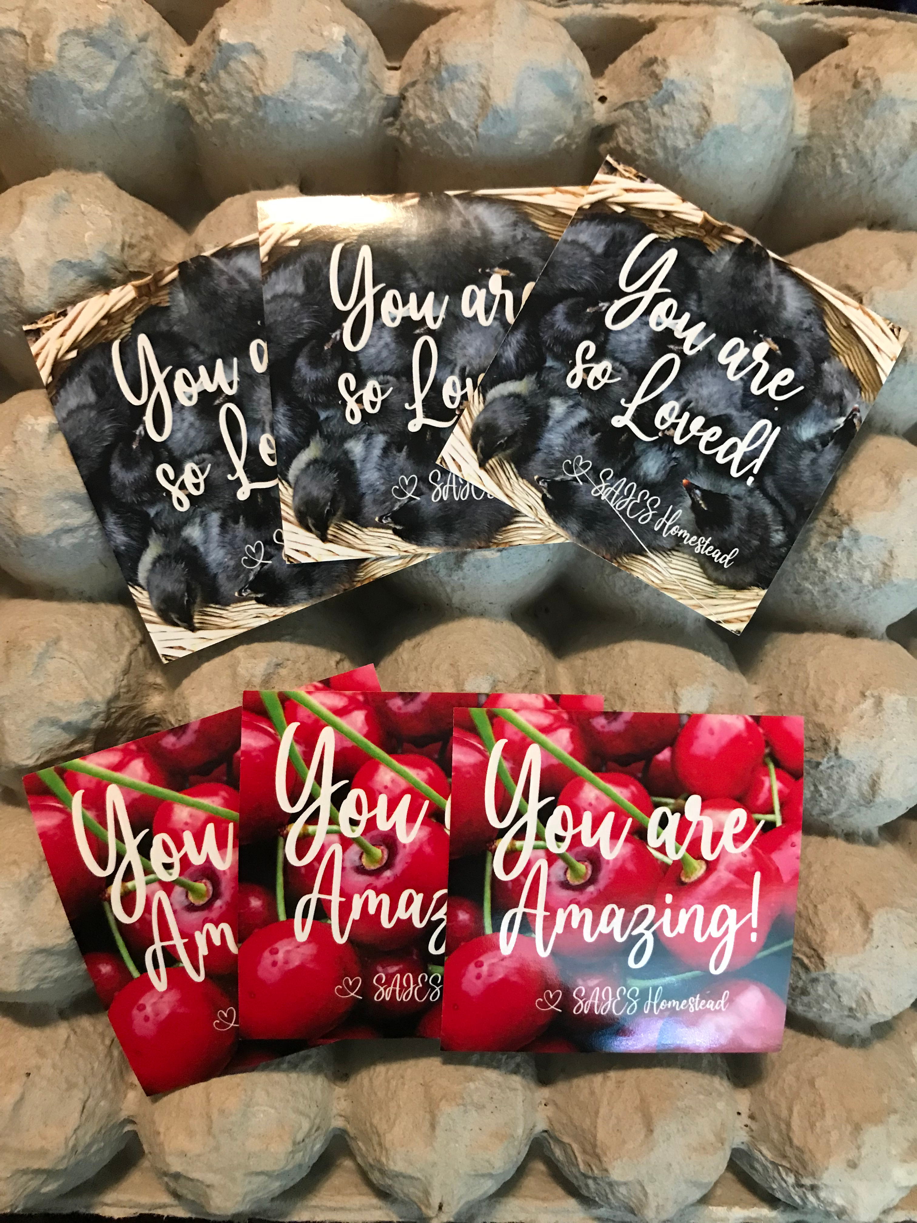 SAJES Encouragement Stickers