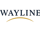 Wayline Logo with Yellow Arc