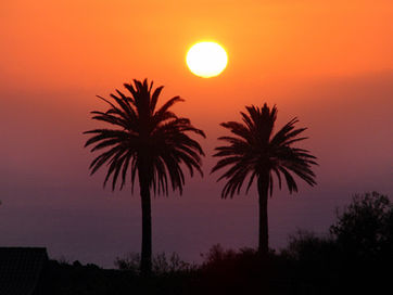 Séjour d'astronomie à La Palma (Canaries) organisé par Cap Astro