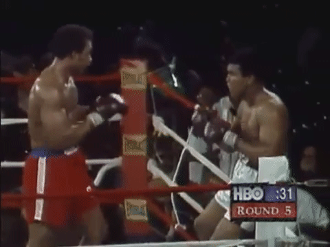 Watching Ali and Forman knock it out in Zaire