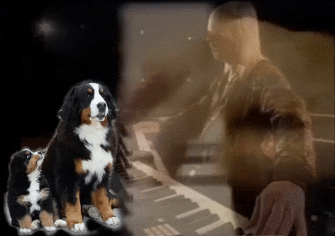 Rick Wakeman's dog keeper