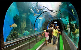 Phuket Aquarium