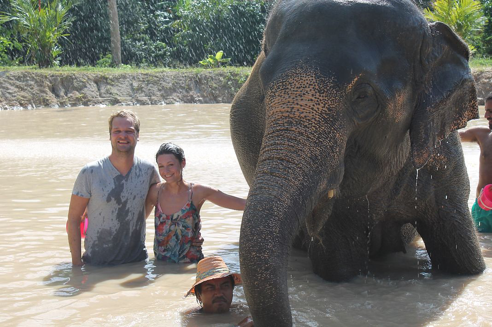 Green Elephant Sanctuary Park