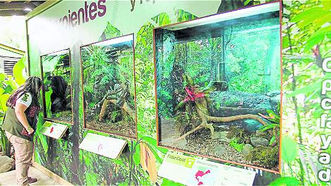Los Pequeños 'invasores' del Zoológico Santa Fe