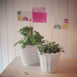 {Mini Celebration Flags}