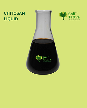 Chitosan Home1 (2).png