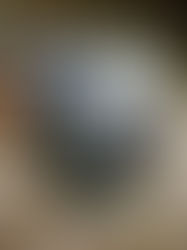 «Закарпатський легіон» відзначає День нарукавного знаку