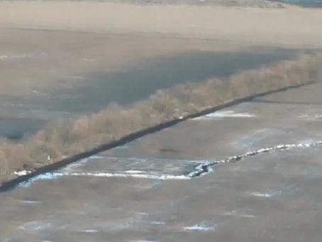 Хай квітне бавовна всюди, де є окупант