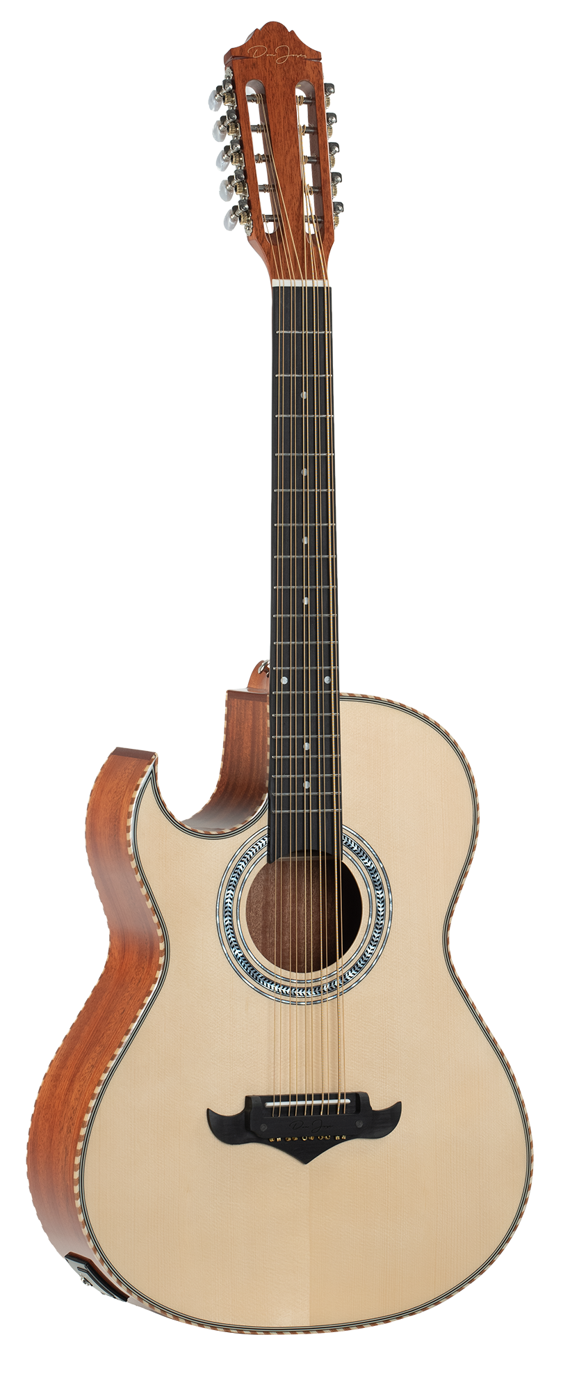 DON JOSE BAJO QUINTO W/GIGBAG & PICKUP LEFT HANDED - DJ-BQBG500EQLH-NT