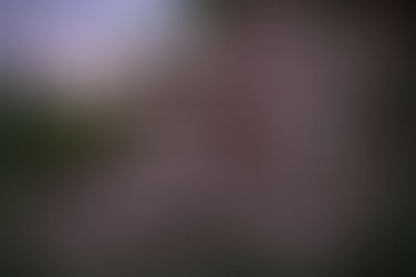 1339 Acorn Pl, Walnut, CA 91789