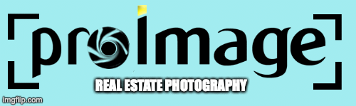animated pro image logo