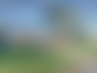 House Front door shot