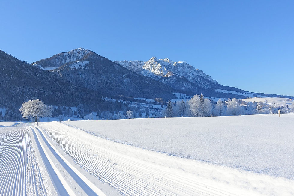 Langlaufen im Kaiserwinkl