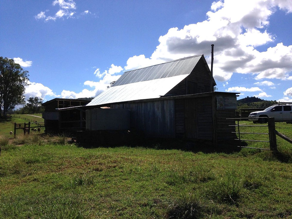 Dairy Shed - Restoration - Dayboro