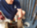 Electric eel | Plumber Strathpine & Moreton Bay
