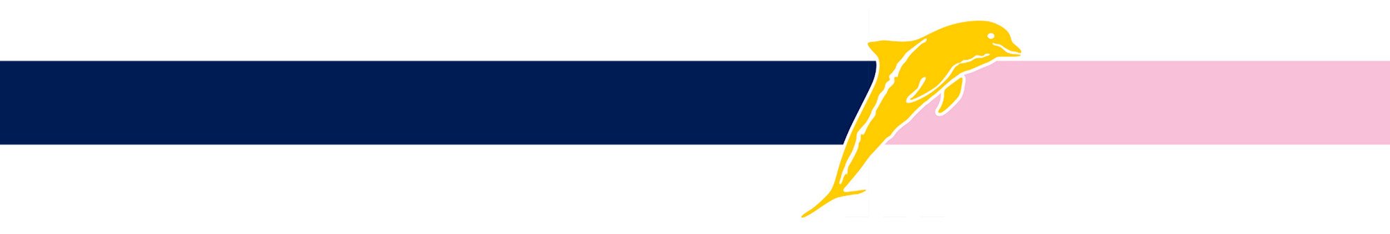 Untitled design (10).png
