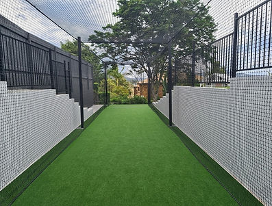 Backyard cricket net / cage