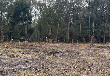 Land clearing