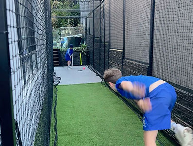 Backyard cricket net / cage