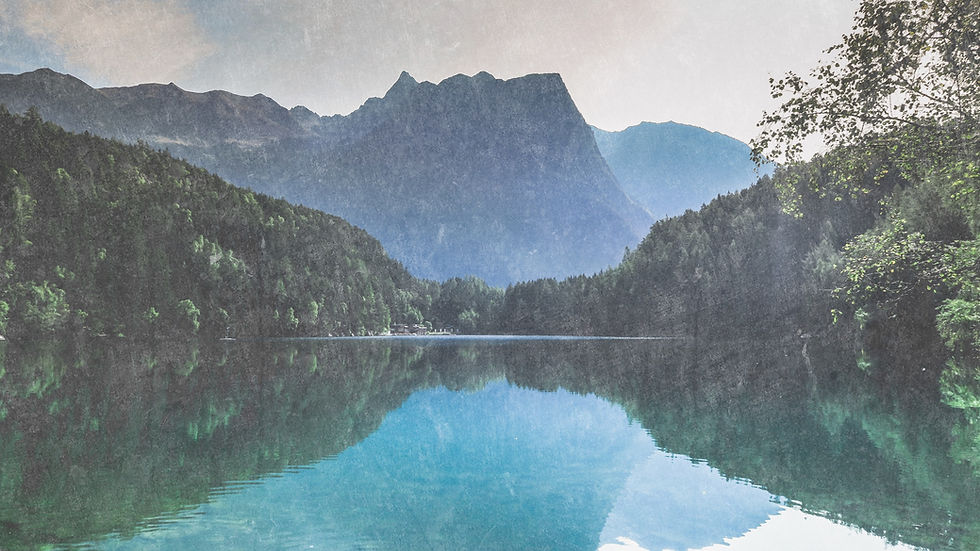 Wild Nature_edited.jpg
