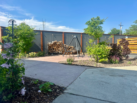 A Walk Through Our Gardens