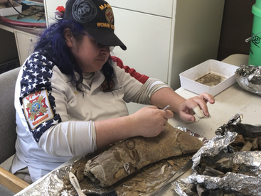 Out and About: Dinosaur discovery in Musselshell County
