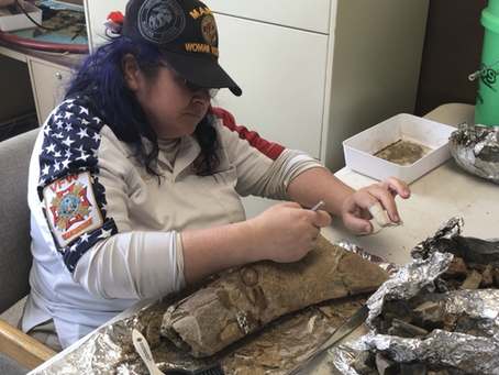 Out and About: Dinosaur discovery in Musselshell County