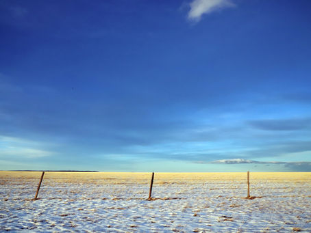 Seasons of Roundup: What to Do in Spring, Summer, Fall & Winter